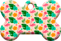 Hawai_04